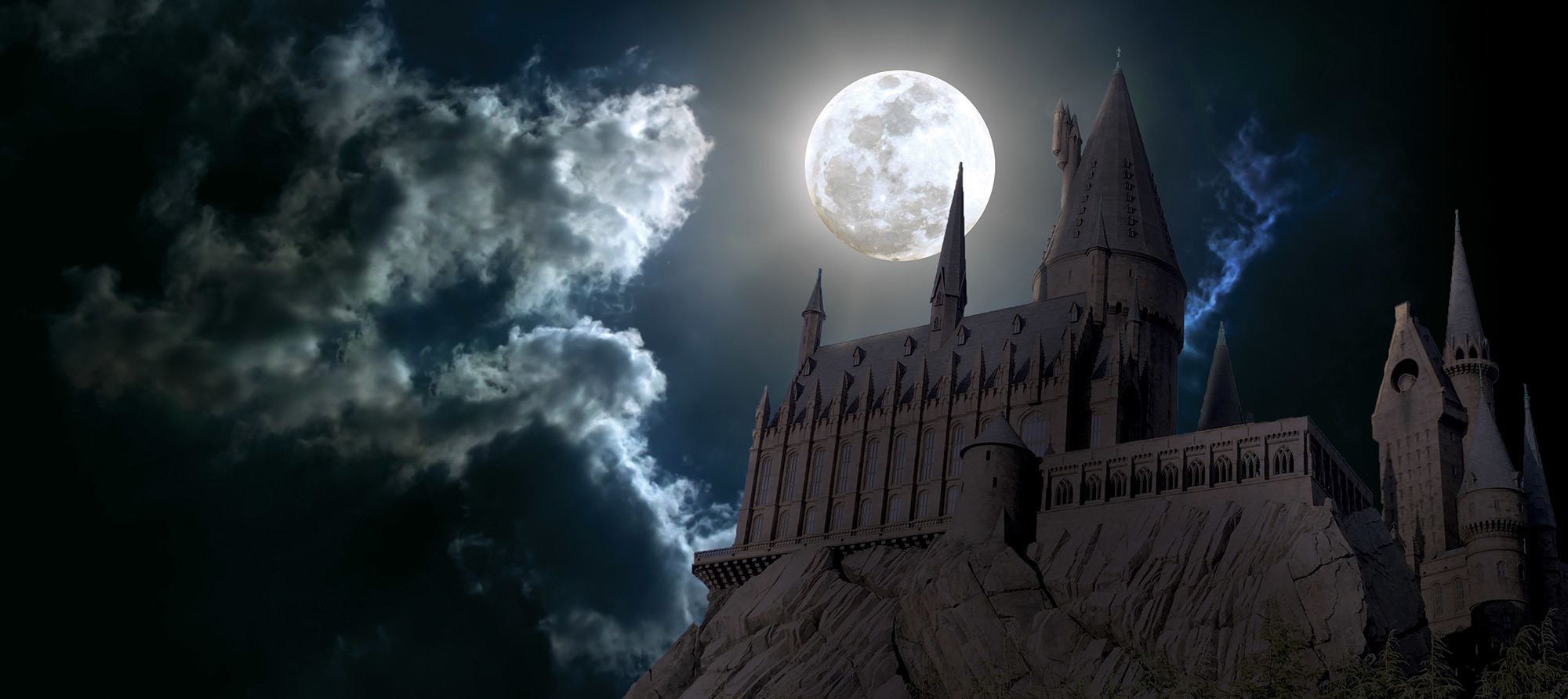 Hogwarts Halloween - Musical Discovery Zone | Gulf Coast Symphony