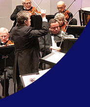 Gulf Coast Chamber Orchestra