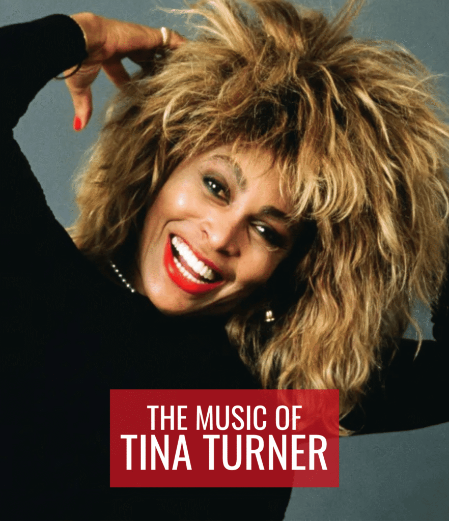 TinaTurnerTribute27
